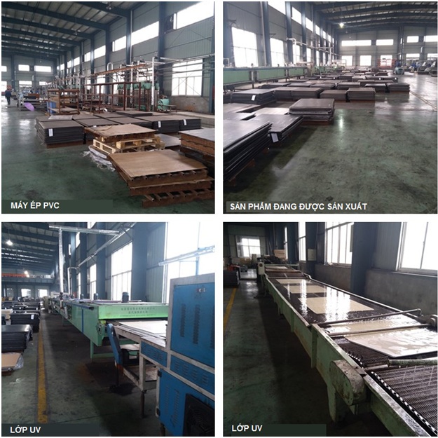 Sàn nhựa giả gỗ trong nhà SPC 6048 - 8